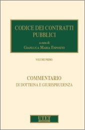  Codice dei contratti pubblici 2017